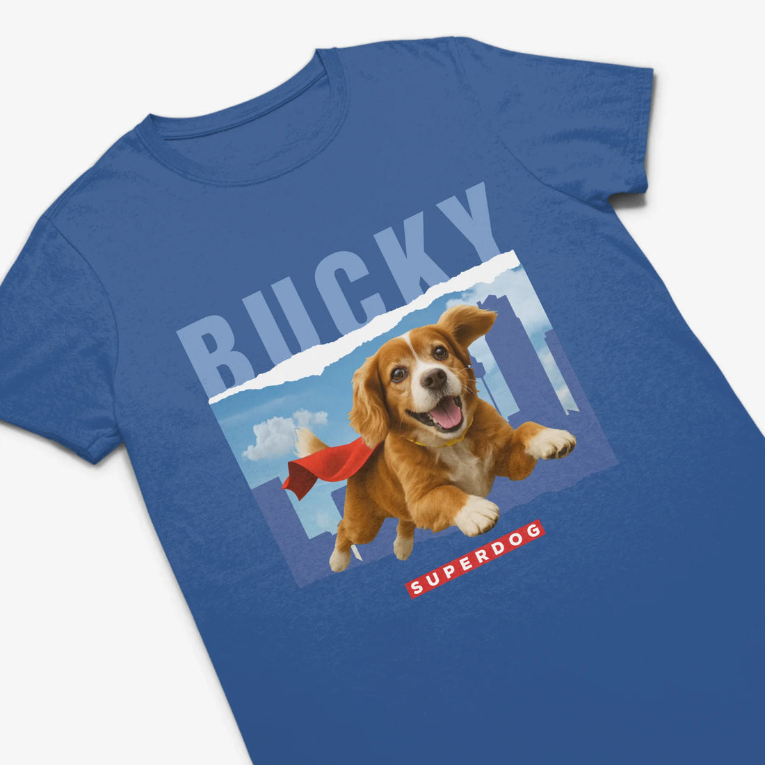 UNISEX T-SHIRT Front Light