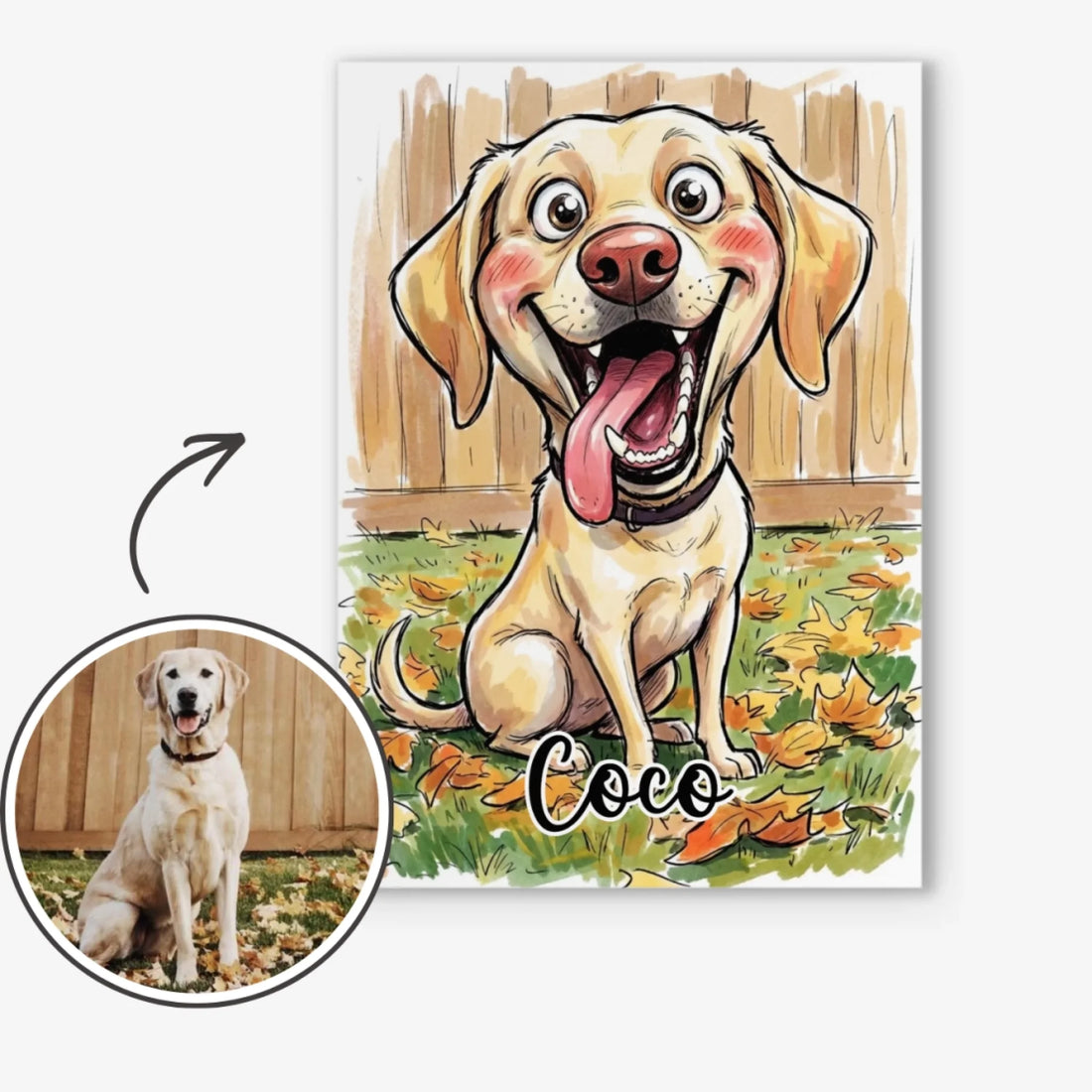 mockup 1