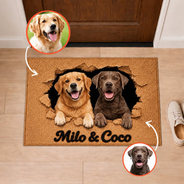 Felpudo personalizado con foto de tus perros – Efecto de ruptura