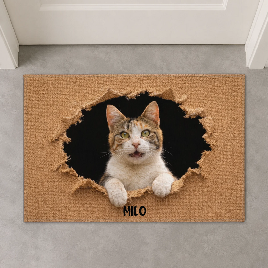 standard door mat BASE 02