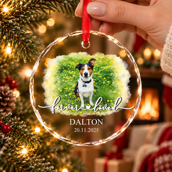 Bola de Navidad Personalizada con Foto en Memoria de Mascota