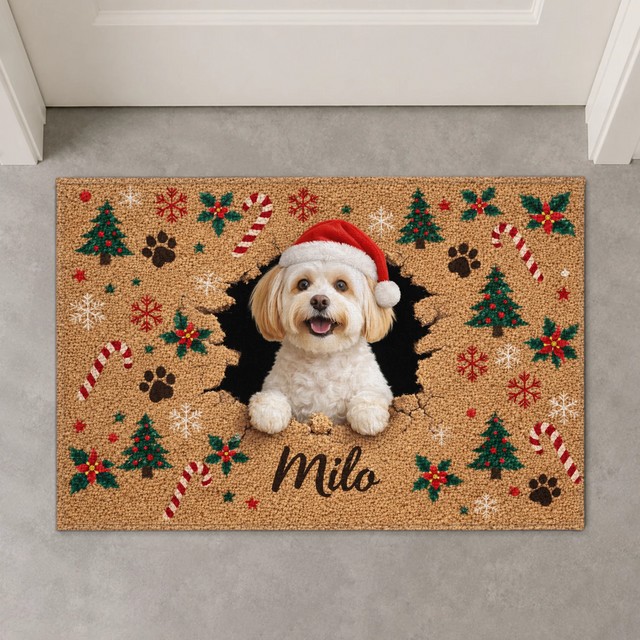 standard door mat BASE 02