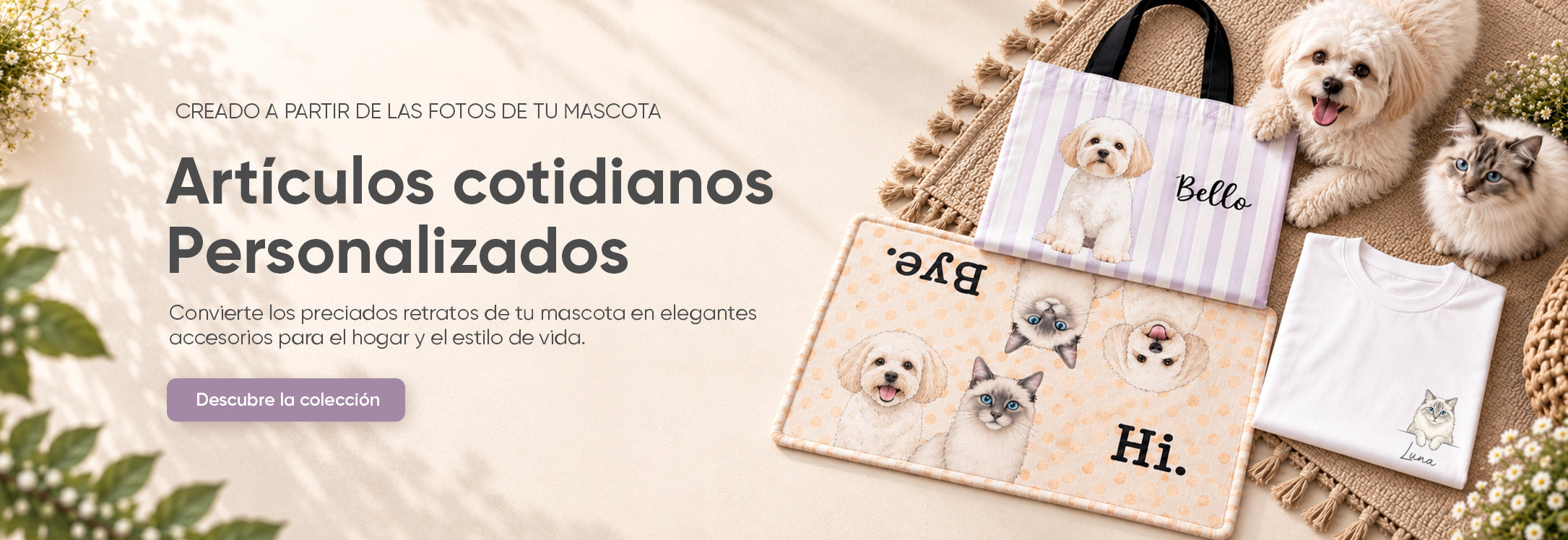 slider image slider_item_MGMP4x